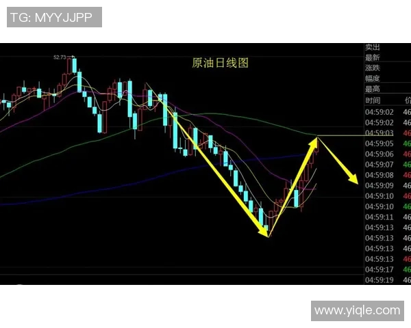 独家解析:上海排球队各队员个人能力深度对比与分析 独家解析:上海排球队各队员个人能力深度对比与分析