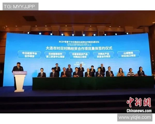 南京飞盘队的配合变革引发热议探索团队协作的新模式与未来发展