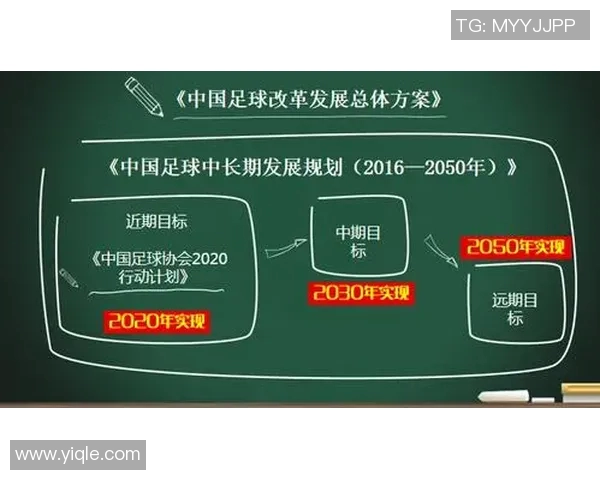 中国足球明星薪水揭秘：高额收入背后的职业生涯与市场价值分析